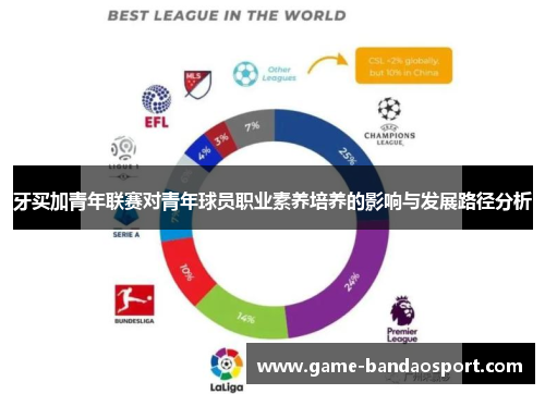 牙买加青年联赛对青年球员职业素养培养的影响与发展路径分析 牙买加青年联赛对青年球员职业素养培养的影响与发展路径分析