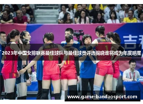 2023年中国女排联赛最佳球队与最佳球员评选揭晓谁将成为年度明星