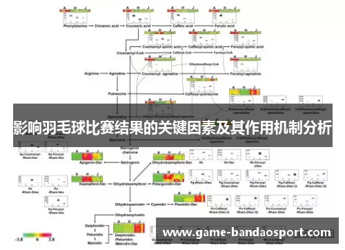 影响羽毛球比赛结果的关键因素及其作用机制分析