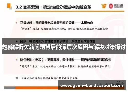 赵鹏解析欠薪问题背后的深层次原因与解决对策探讨